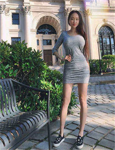 《黑色大丽花2006》