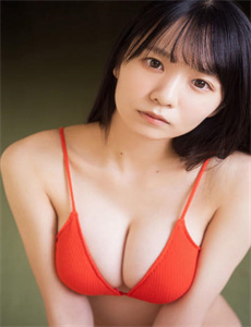 《少林寺演员表》