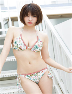《狭路电视剧全集》